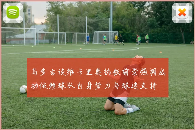 乌多吉谈维卡里奥执教前景强调成功依赖球队自身努力与球迷支持